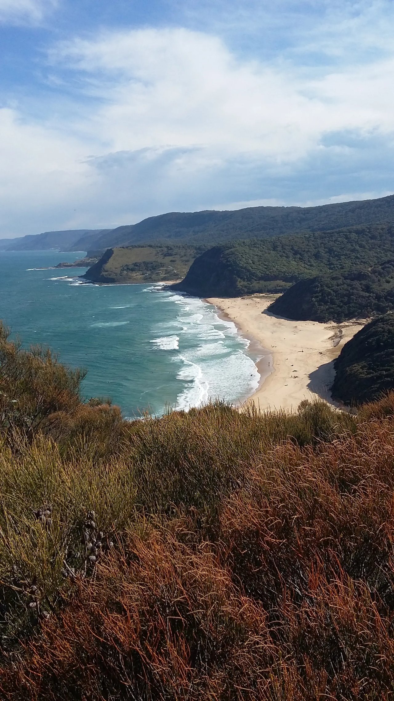 Wattamola Beach, Küstenlandschaft bei Sydney mit einer Bucht und Sandstrand, umgeben von grünen Hügeln.