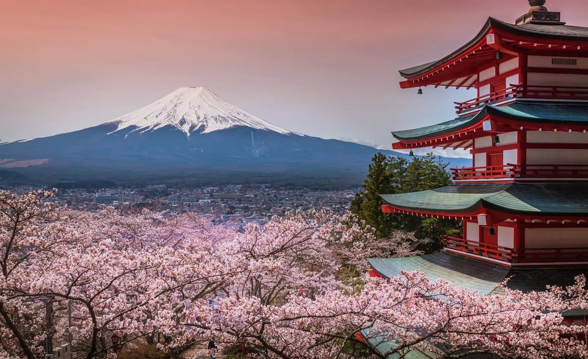 Ein Tempel mit rotem Dach und Pagoden-Architektur steht vor dem schneebedeckten Mount Fuji in Japan. Kirschblütenbäume in voller Blüte schmücken den Vordergrund. 