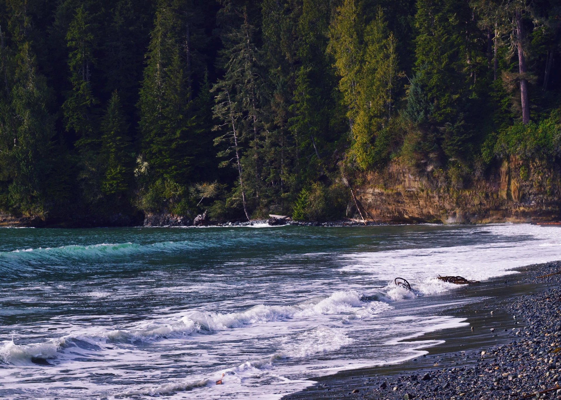 Wellen und Wald am Strand von Vancouver Island.