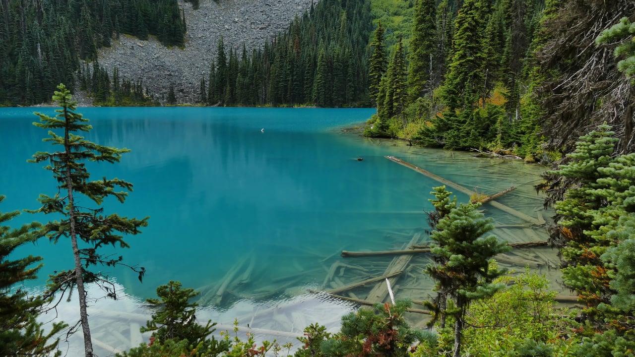 Türkisfarbener Bergsee der Joffree Lakes inmitten von dichten Wäldern nahe der University of British Columbia in Vancouver.