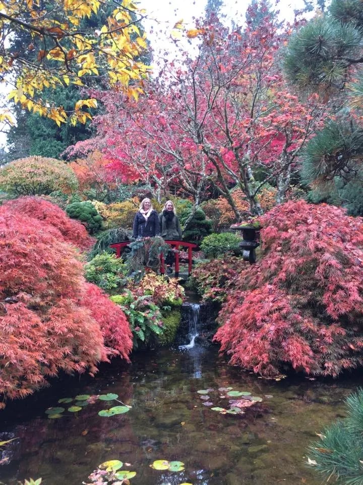Lebendige Herbstfarben in einem japanischen Garten in Victoria, Kanada, mit zwei Studierenden im Vordergrund.