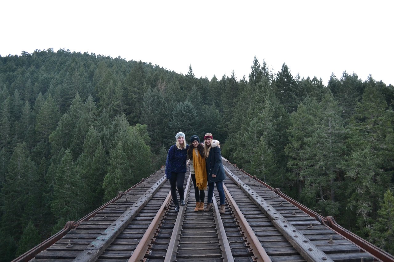 Gruppe von Studierenden der University of Victoria auf einer stillgelegten Eisenbahnbrücke, umgeben von dichten Wäldern.