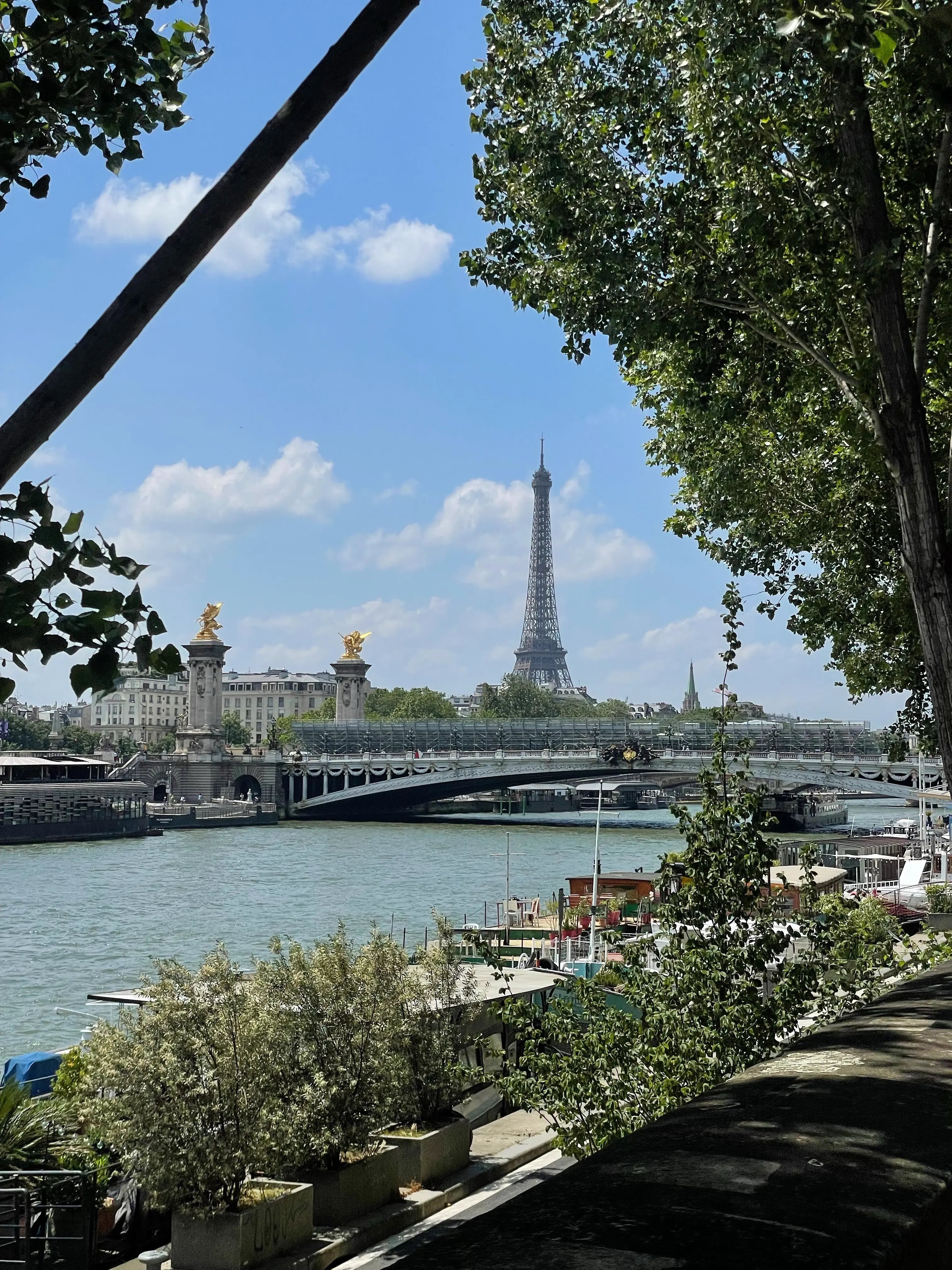 Aussicht auf den Eiffelturm und die Stadt Paris