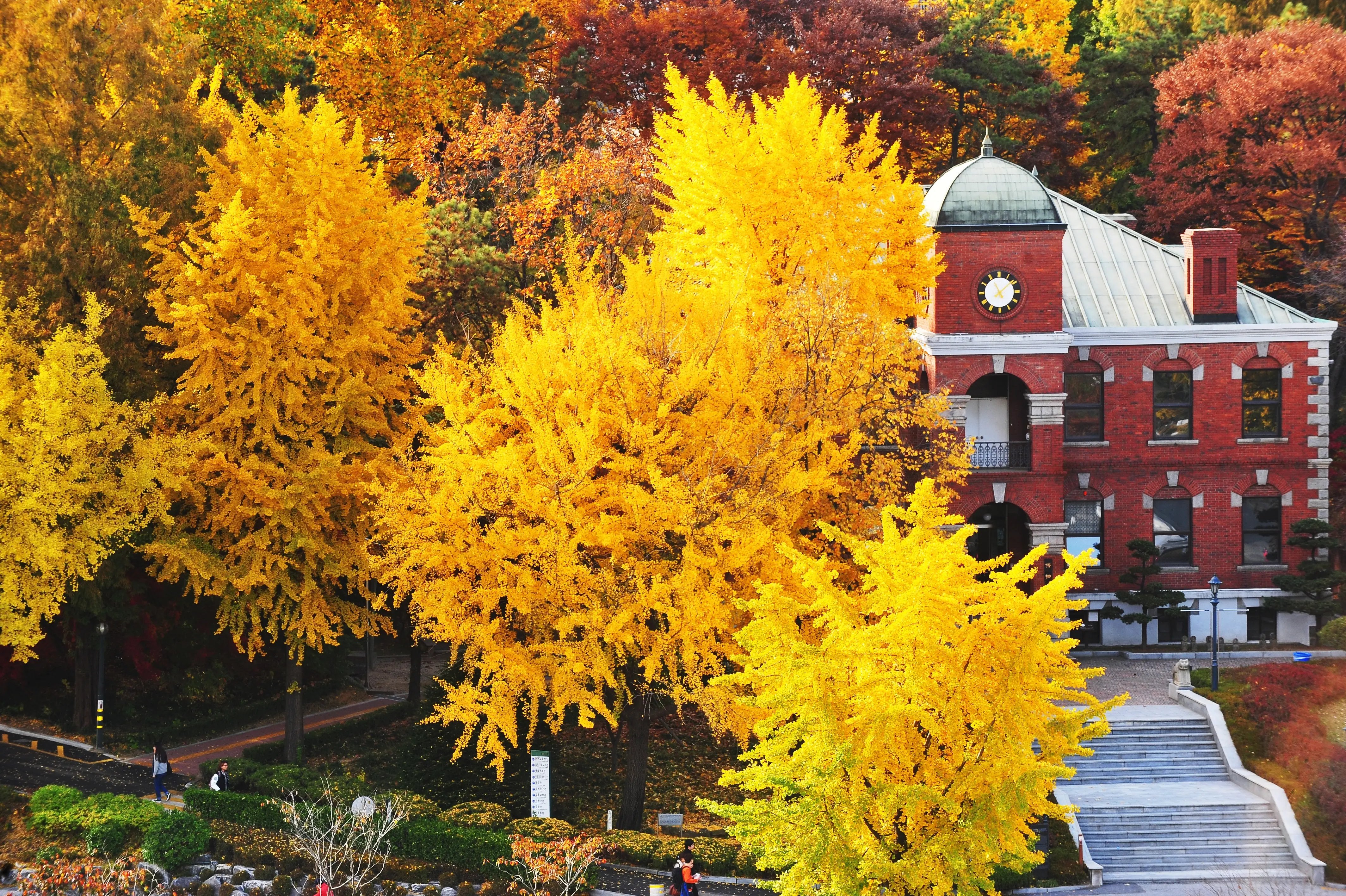 Der Campus der Konkuk University und die Natur im Herbst