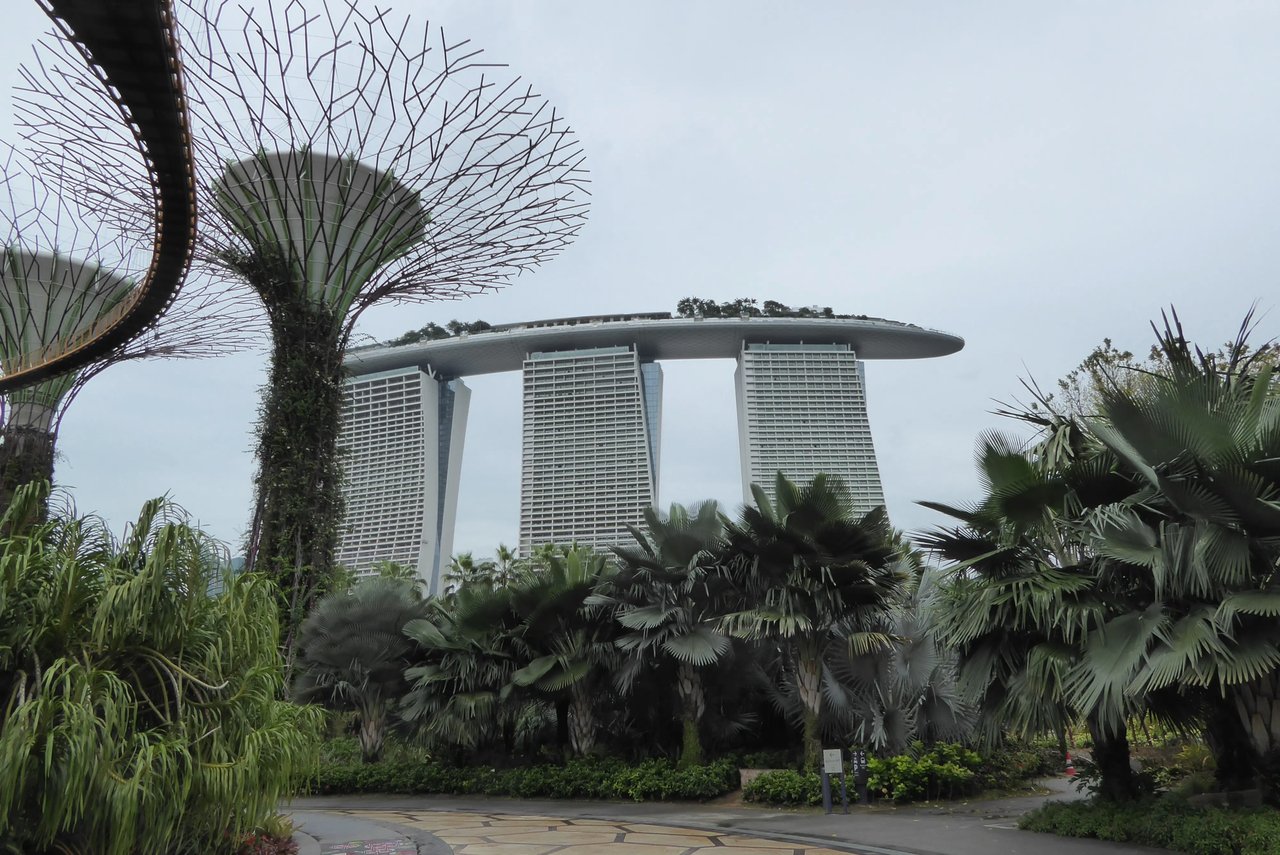 Die berühmten Supertrees und das Marina Bay Sands Hotel in Singapur.