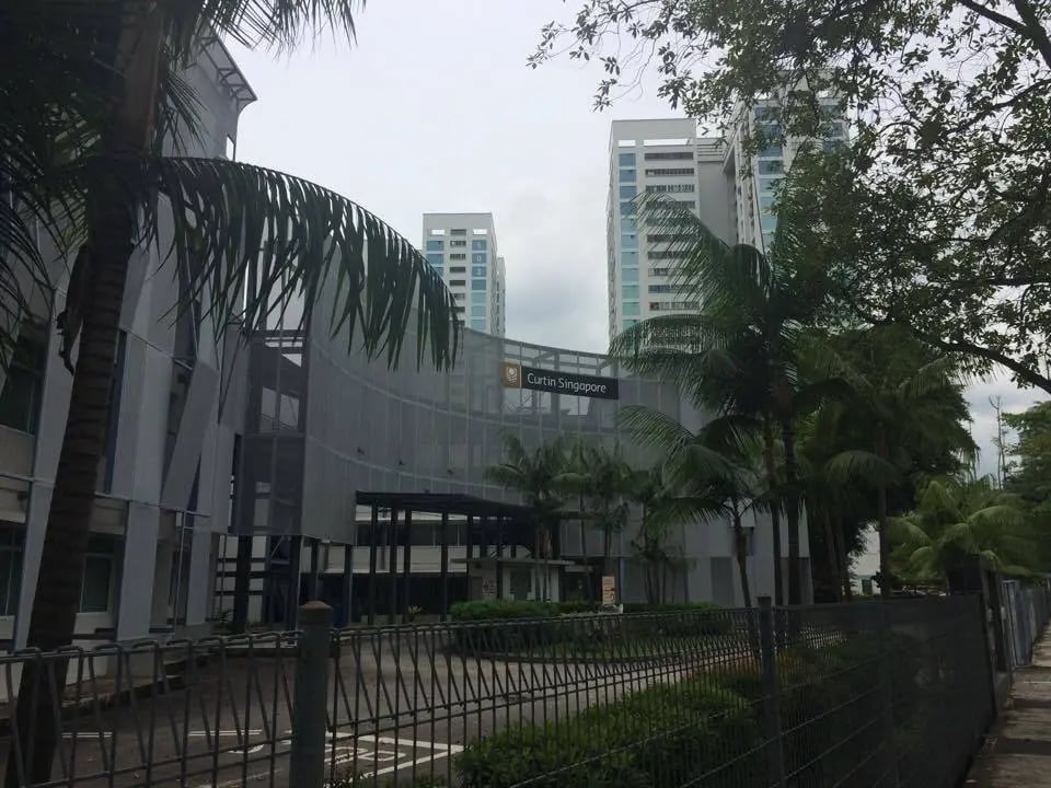 Eingang der Curtin University in Singapur, umgeben von tropischen Bäumen.