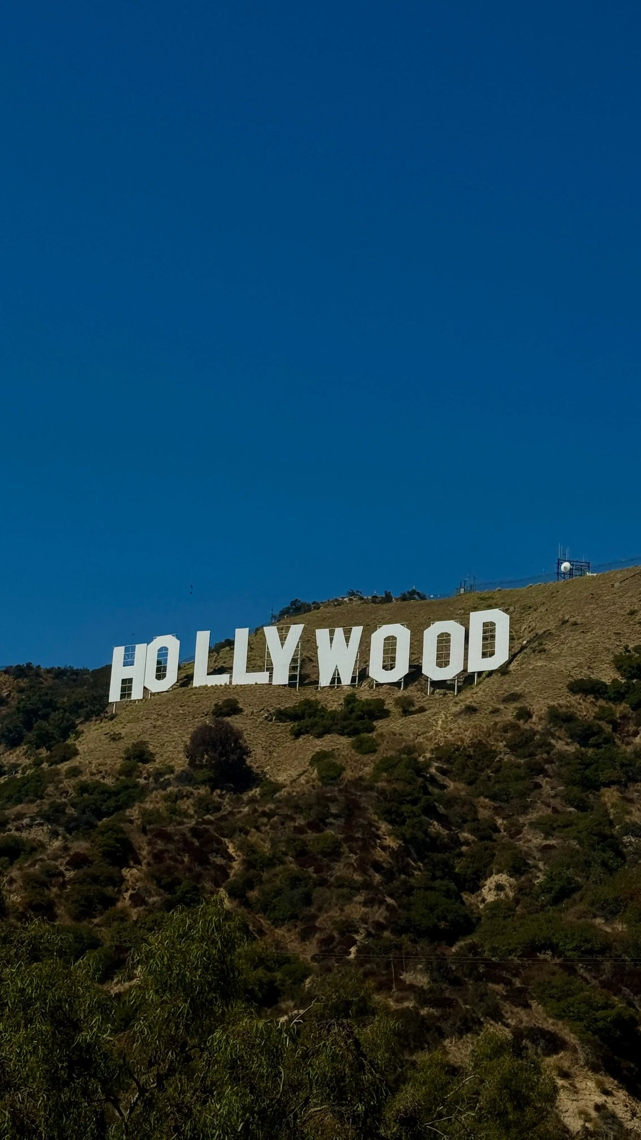Hollywood Sign auf einem Hügel mit blauem Himmel und grüner Vegetation.