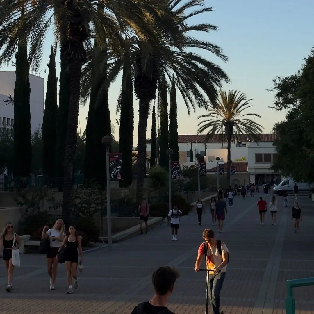 Campus der San Diego State University mit Palmen, Studierenden und warmem Abendlicht.