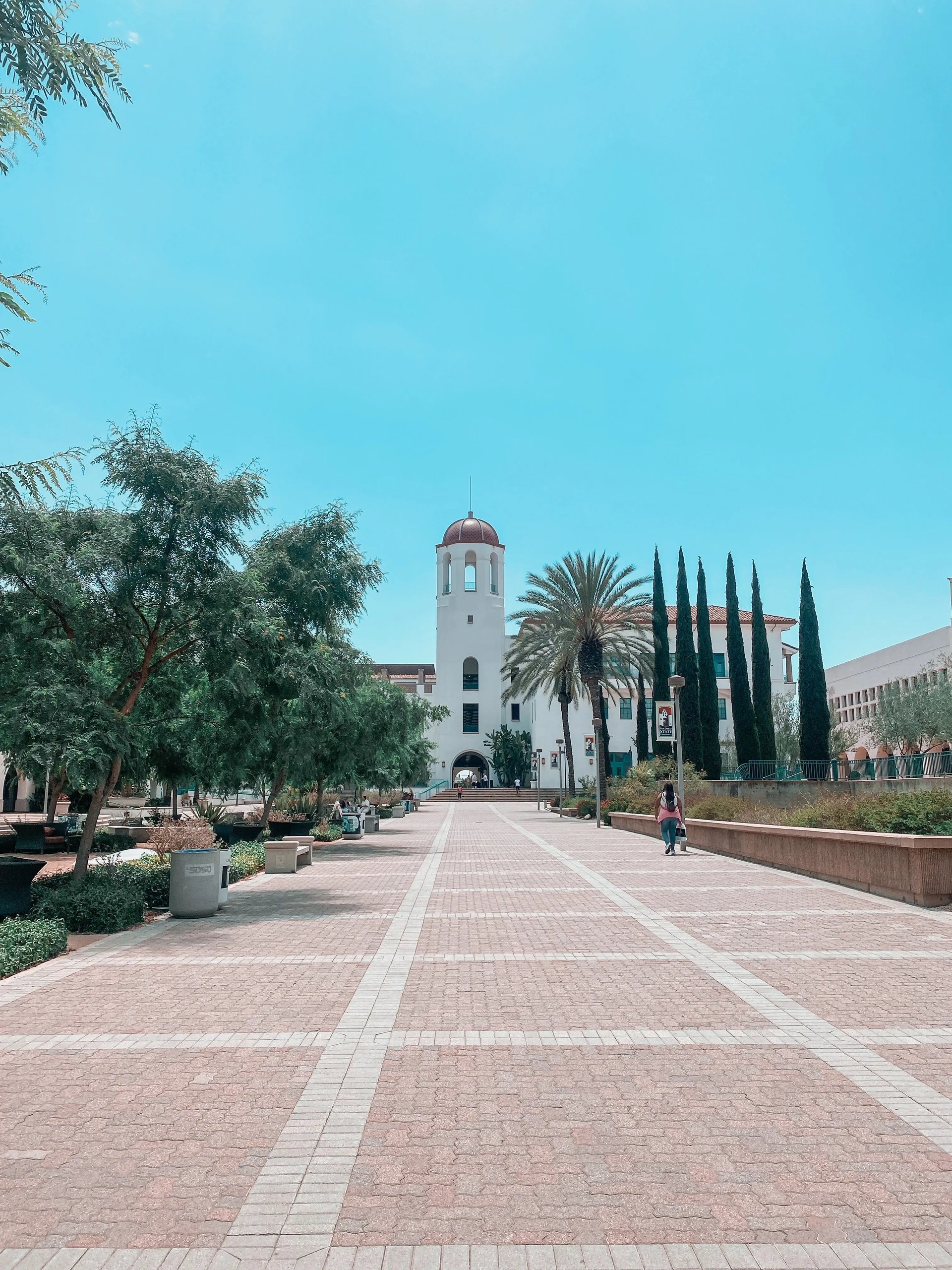 Blick auf den Campus der San Diego State University mit Palmen und Studierenden.