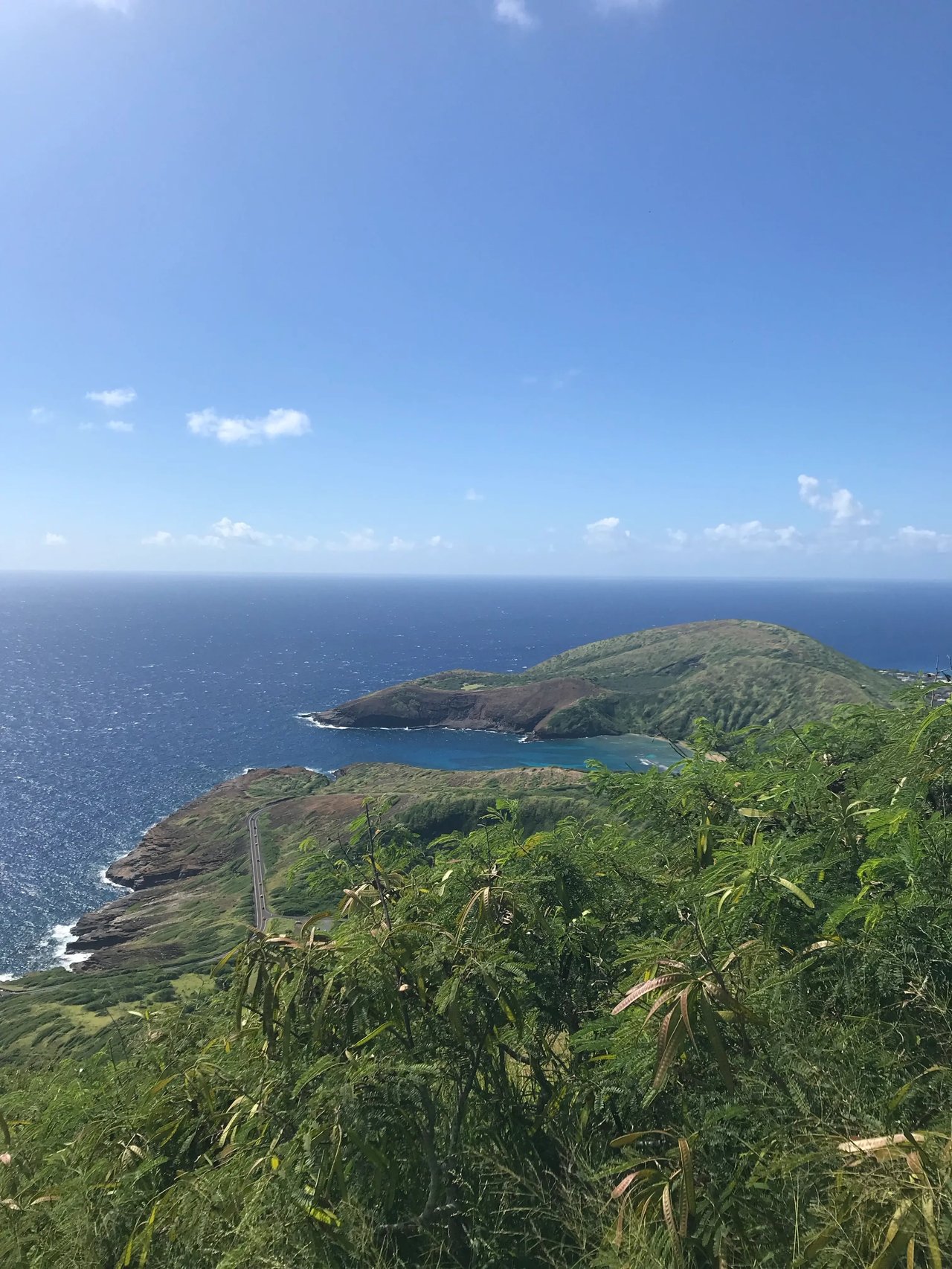 Aussicht auf die Hanauma Bay auf Oʻahu, eine bekannte Bucht mit klarem Wasser und Korallenriffen.