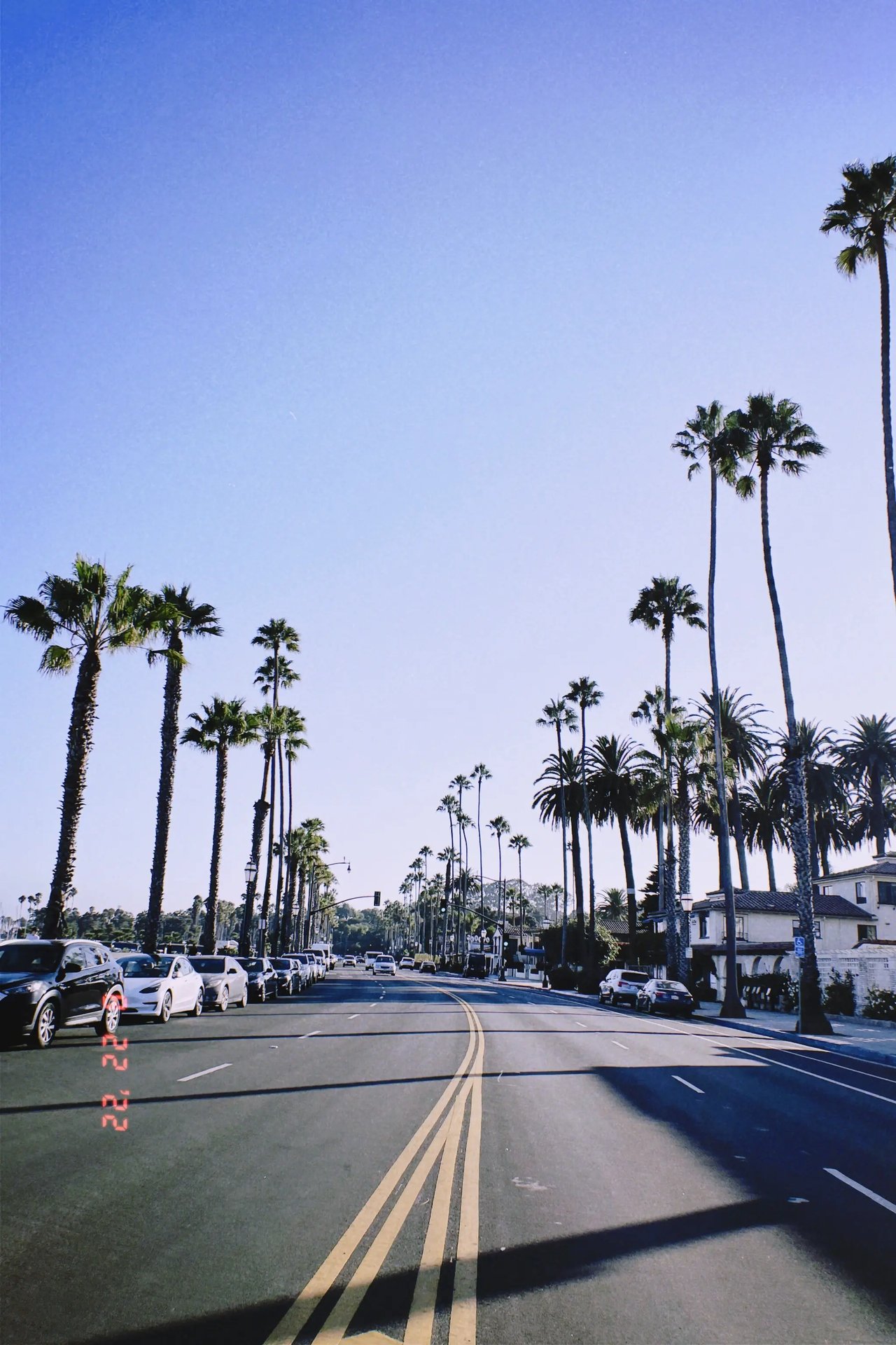 Palmenallee in Santa Barbara.